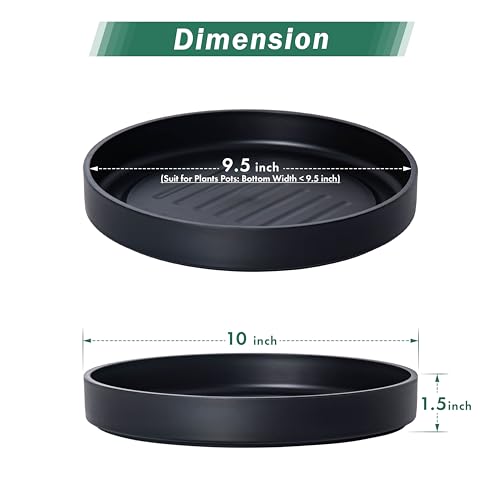 10" Heavy-Duty Plastic Plant Saucer, Black, 21-B-10-1 - view 2