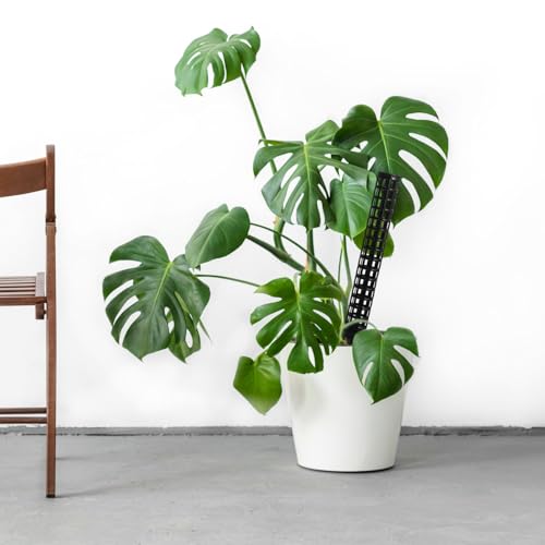 2pcs Plastic Moss Pole for Climbing Plants, Monstera Support Stake - view 4