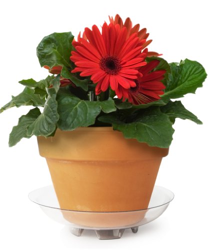 FGR12 Floor Guard Recycled Saucer, 12-Inch - view 3