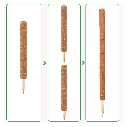 34 Inch Moss Pole, 2 Pack 19.5 Inch Moss Poles for Climbing Plants Monstera, Moss Sticks for Indoor Plant Support Plant Stakes for Indoor Climbing Plants Grow Upwards with Garden Ties - view 3