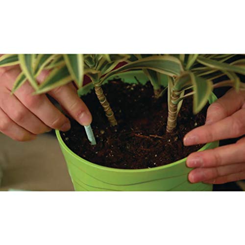 Indoor Plant Food Spikes, 48 Spikes (2-Pack) - view 5