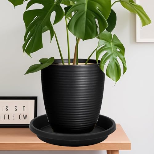 2 Pack Plant Saucer 8 Inch, Drip Trays for Potted Plants, Flower Pot Saucers Plant Trays for Pots, Plastic Planter Tray for Indoors, Plant Drainage Saucer Birdbaths for Outdoors - view 5