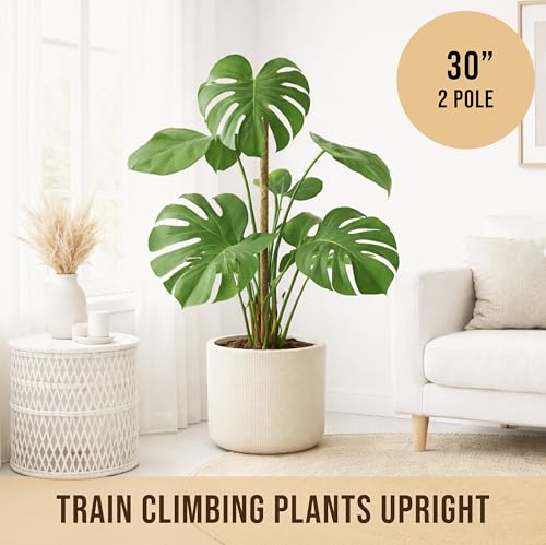 30" Moss Pole Monstera Plant Support, Plant Stakes for Indoor Plants - view 5