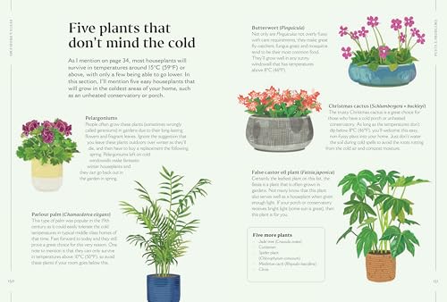 How to Make Your Houseplants Love You: Expert Answers for Plant Parents - view 7