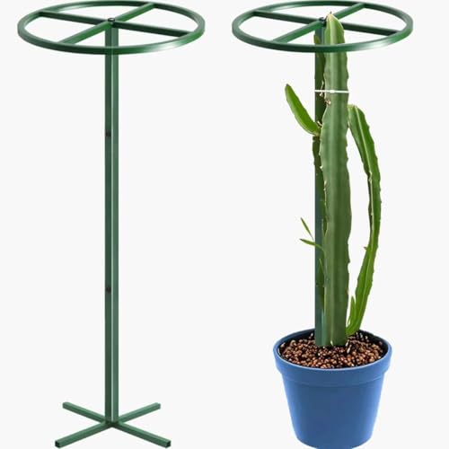 62" Round Dragon Fruit Trellis Adjustable Plant Trellis