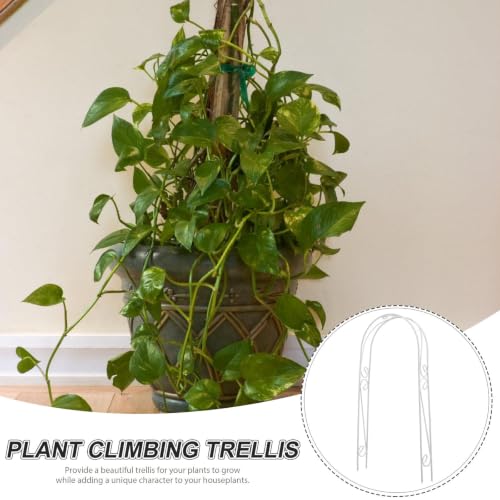 White Iron Plant Support Arch for Indoor Climbing Plants and Vines - view 3