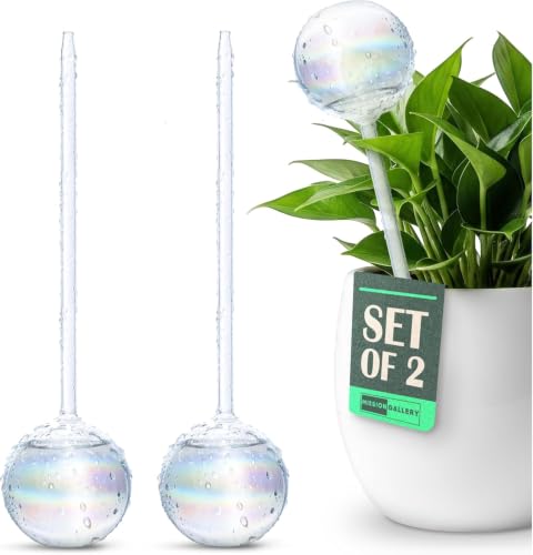 Clear Plant Watering Globes Set of 2, Large - Glass Self Watering Globes