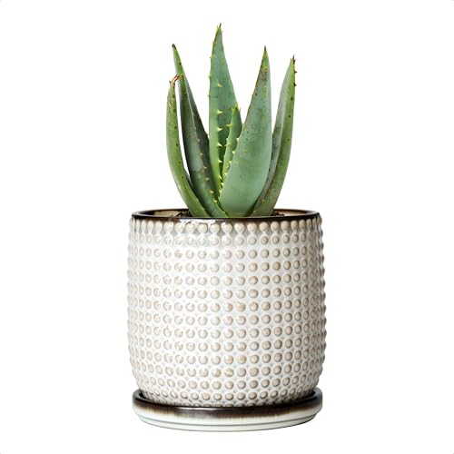 Beaded Ceramic Pot with Saucer, 4 in, Smoked White, 27-C-Z-1