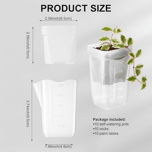 10 Pack 2.5 inch Clear self Watering pots for Indoor Plants - view 2