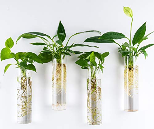 Wall Hanging Vases, 4 Pack Glass Plant Propagation Tubes - view 4