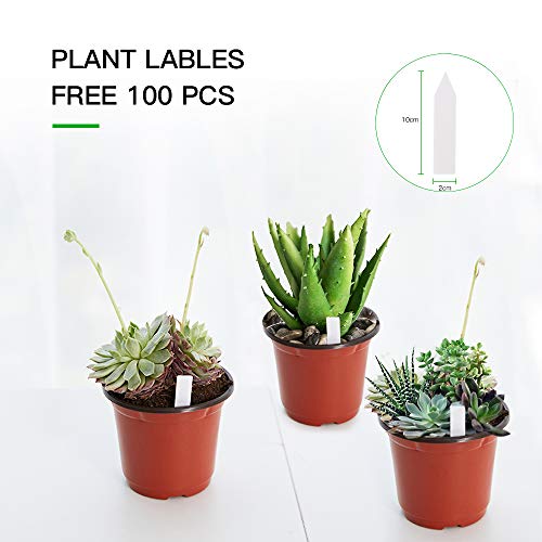 100-Pack 6 Inch Plastic Nursery Pots Come with 100 Pcs Labels, Seedling Flower Plant Container and Seed Starting Pots - view 3