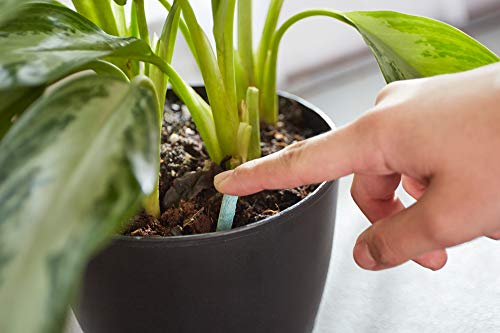 Indoor Plant Food Spikes, 48 Spikes (2-Pack) - view 4