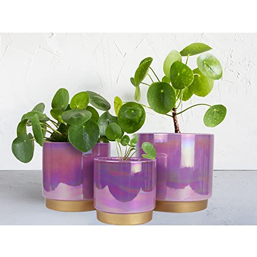 Ceramic Plant Pots for Indoor Plants, Planters with Drainage Holes - view 4