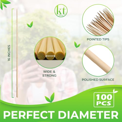 100 Pack 16" Bamboo Plant Stakes for Indoor Plants, Long Wood Skewers Sticks for Plant Support Tomato Floral Flower Bouquet, Garden Wooden Sticks Sign Posting and Other Crafts (100pc - 16 inch) - view 3