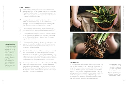 How to Make Your Houseplants Love You: Expert Answers for Plant Parents - view 4