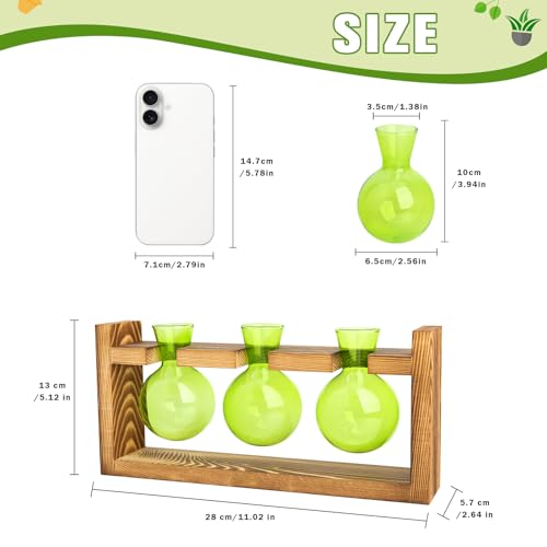Plant Terrarium Jar Propagation Station Stand 3 Green Bulb Vases - view 2