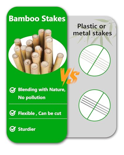 Natural Bamboo Plant Stake, 2FT, 30Pcs - view 6