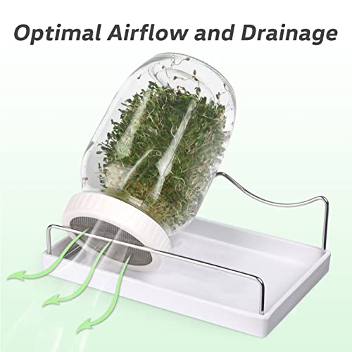 Complete Sprouting Jar Kit| 2 Wide Mouth Mason Jars, 316 Screen Sprout Lids, Blackout Sleeves, Tray, Stand| Sprouter Set for Growing Broccoli, Alfalfa and More-Seeds not Included - view 4