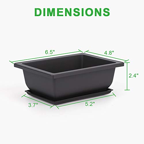 6.5 Inch Bonsai Training Pots with Drainage Holes & Trays, 6 Packs - view 2