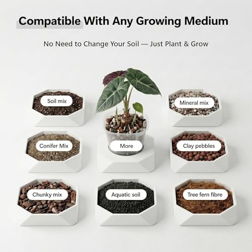 10 Pack 4" Self Watering Small White Plant Pots for Indoor Plants, Clear Inner Cup, Water Level Indicator, Drainage Holes & Wick, for Cuttings, Seedlings, Herb, African Violet, Hoya, Begonia - view 6