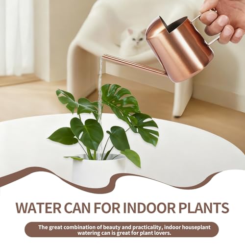 10oz/300ml Watering Can Indoor Plants, Long Spout Small Watering Sprinkling Pot Mini Stainless Steel Water Can Garden Water Pot for Indoor House Plants Bonsai - view 2