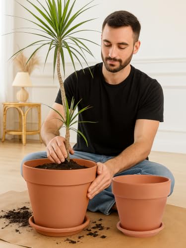 Terracotta Pot with Saucer 10&12 Inch - Ceramic Clay Pot for Plants with Drainage Hole, Large Terra Cotta Flower Planter with Tray for Indoor Outdoor Plants - view 7