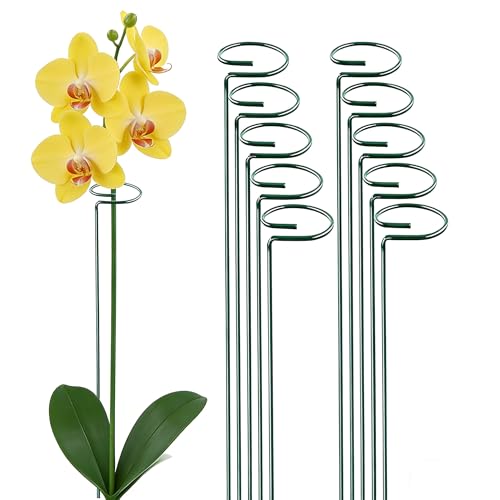10 Pieces 24 inch Green Single Stem Plant Stakes Flower Support Rings,Gardening Planter Cages for Single Stem Flowers, Amaryllis, Peony, Lily,Narcissus