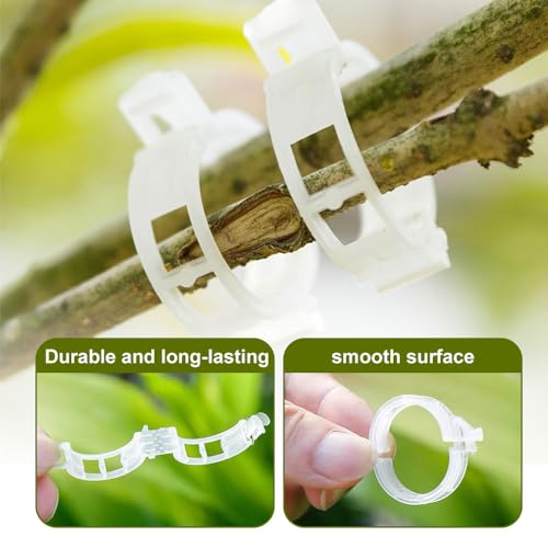 150 PCS Secured Plastic Plant Clip, Plant Support Clips, Garden Clips for Climbing Plants, Plastic Trellis Clips Plant Support Clips Tomato Grape Vine Vegetables Plant Fixing Clips (150, Green) - view 3