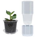20 Pack 3 Inch Clear Nursery Pots with Drainage and 20 Pack Plant Saucers, Plant Pots for Plants Transparent Potting Containers for Plants Seeding Starter Pot (Clear, 3 Inch)
