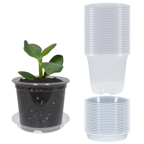 20 Pack 3 Inch Clear Nursery Pots with Drainage and 20 Pack Plant Saucers, Plant Pots for Plants Transparent Potting Containers for Plants Seeding Starter Pot (Clear, 3 Inch)
