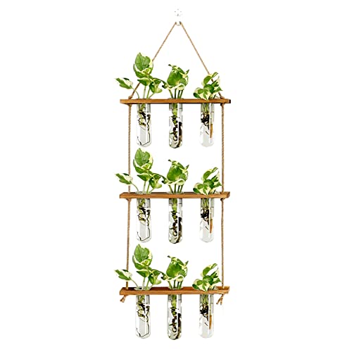 Wall Hanging Propagation Station with Wooden Stand Glass Test Tubes Tiered Planters Wall Terrarium for Home Office Plant Hanger Flower Vases Wall Decor Hydroponic Cuttings (9 Tube Vases)