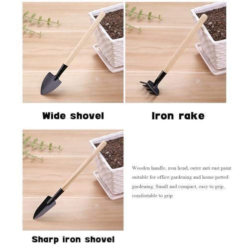 5 Pieces Garden Tools Set for Gardening Women Weeding Hoe rake Spade Greenhouse Indoor Small Hand Planting Tools kit Bonsai Accessories - view 5