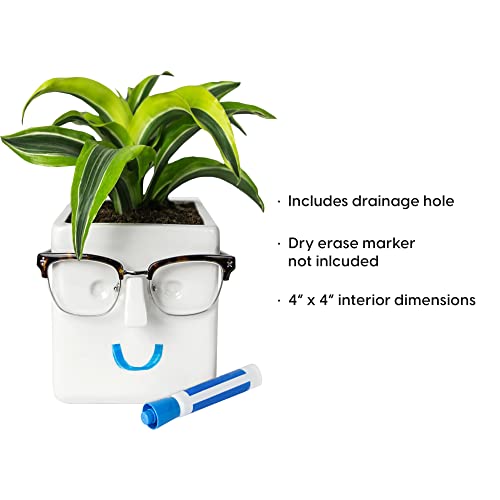 Face Plant, Novelty Planter Holds Small Plants, Glasses & You Can Draw on It. Elegant Ceramic Pot for Succulents, Cacti or Your Average Fern, Perfect Gifting - view 6