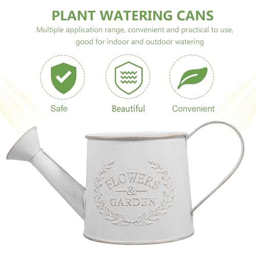 Rustic Metal Watering Can with Long Spout for Precise Pouring - view 3