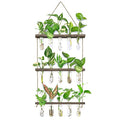 Wall Hanging Propagation Station with Wooden Stand 5 Glass Test Tubes 3 Tiered Planters Wall Terrarium for Home Office Plant Hanger Flower Vases Wall Decor Hydroponic Cuttings