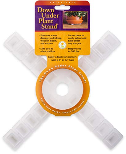 Down Under Plant Stand,12"