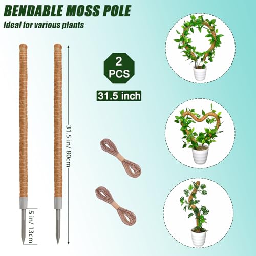 Moss Pole 31.5 Inch, 6 Pack Bendable Moss Pole for Plants Monstera, Moss Poles for Climbing Plants Indoor, Coconut Fiber Plant Poles Support Sticks for Potted Plants (31.5inch × 6pcs) - view 2