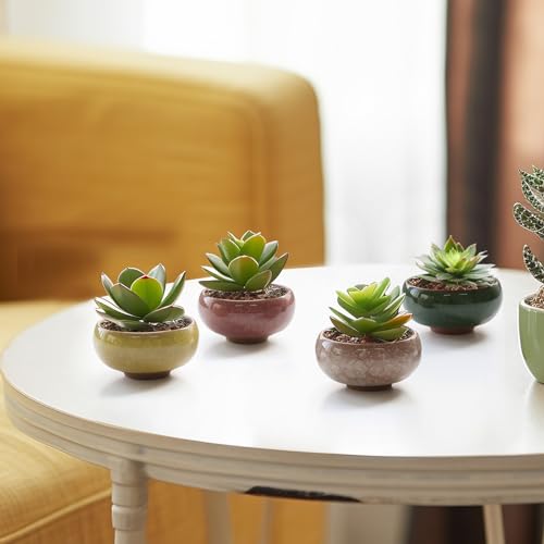 Mini Succulent Pots, Small Shallow Ceramic Pots, Retro Gift Set of 12 - view 4