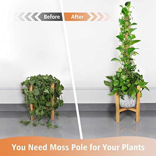 【4 Pack】 Moss Pole, 17 inch Coco Coir Totem Poles Extending to 53 Inches, Plant Support Stick Plant Poles for Indoor Plants Climbing Plants Monstera, Sphagnum, Pothos - view 5