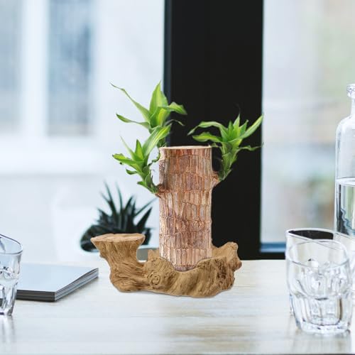 Hydroponic Plant Base Tray Resin Plant Pot Saucer for Indoor Houseplants Desktop Base Water Tray for Potted Plants Decorative for Home or Office 7.87 X 4.92 X 2.55 in - view 4