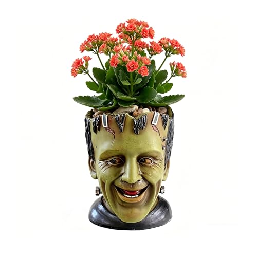 Funny Planters Head Planter for Indoor Plants, Succulent Pot with Drainage Hole Fairy Garden Resin Cactus Pencil Holder Desk Storage Gift for Women Men Plant Pot