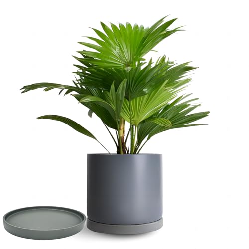 Ceramic Plant Saucer 4 Pack, 4.5 Inch Gray, Fits 4 Inch Pot Bases, Heavy Duty Glazed Drip Tray Catches Water for Indoor Outdoor Potted Plants - view 4