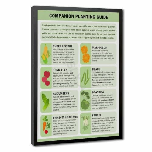 Companion Planting Guide Poster Plantings Types (2)