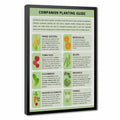 Companion Planting Guide Poster Plantings Types (2)