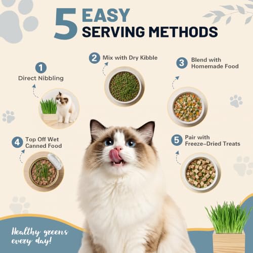 Cat Grass Kit Indoor Cats - Cat Grass Growing Kit with Wooden Planter, 3 Plantings with Wheatgrass Seeds, Coconut Soil Discs & Gardening Tool, Indoor Cat Garden Gift - view 3
