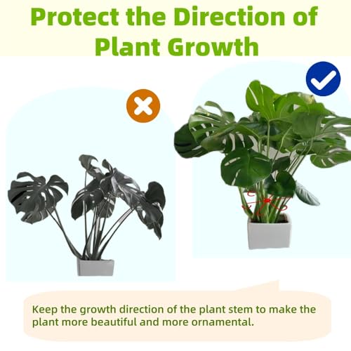 8 PCS Plant Stem Support, Plant Stakes for Indoor Plants Plant Clips for Climbing Plants, Plastic Monstera Plant Support Accessories for Potted Indoor Plant in Various Growth Stage(4 Sizes, 2 Colors) - view 3