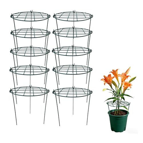 10 Pack 16 x 24 inch Green Peony Cages Grow Through Plant Support Stakes Flower Support Hoops Heavy Plants Brace Rings