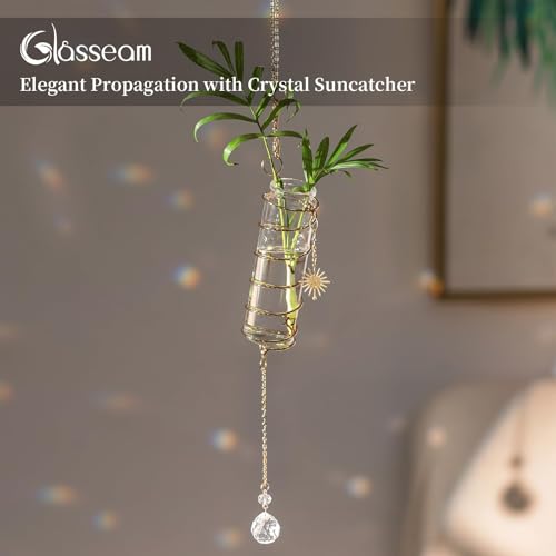 4 Pack Hanging Plant Propagation Stations with Crystal Suncatchers - view 2