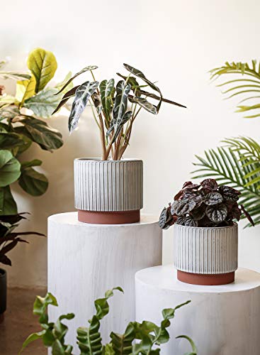 Ceramic Pots for Plants, 8+6.7+5.5 Inch Plant Pots Indoor, Flower Pot with Drainage Holes, Medium Cylinder Planters for Indoor House Plants, Set of 3, Reactive Glaze White - view 3