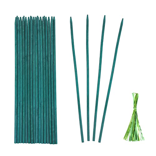 Green Bamboo Plant Stakes, 15 Inch Garden Plant Support Sticks 25 Pack